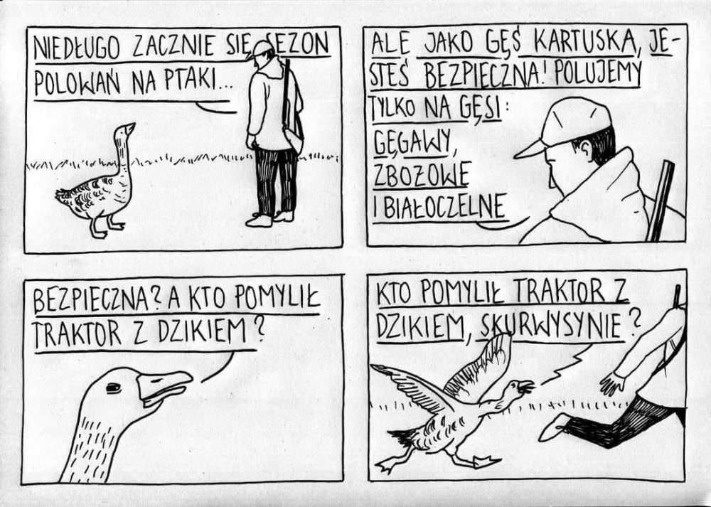 sezonpolowannaptaki.jpg