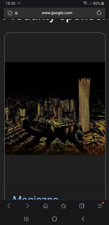 Screenshot_20251125-183618_Samsung Internet.jpg