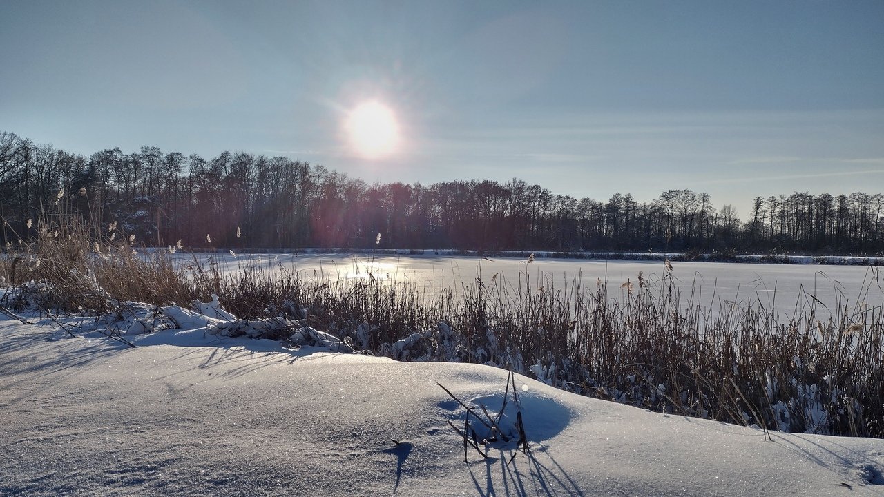 1(53)_Easy-Resize_com.jpg.291c9057ec3ec20ad23efdd63f30f00a.jpg