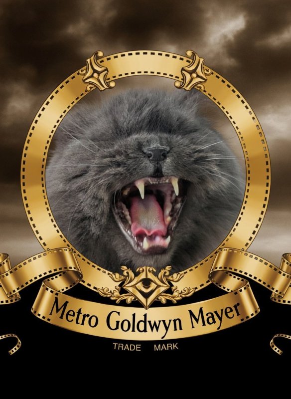1783685081247-019f4be8-d8c2-7c8b-9717-2cd35c1e0ce9.jpeg