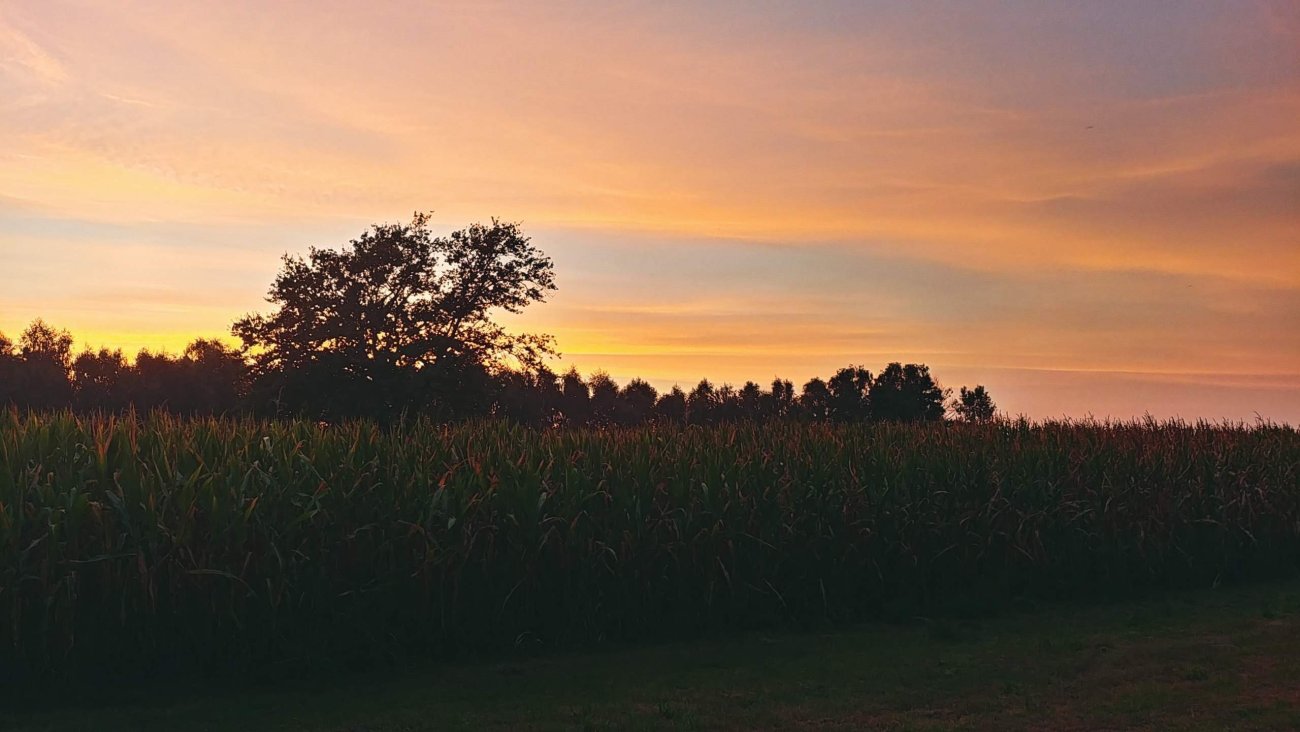 20230909_191947_HDR.jpg