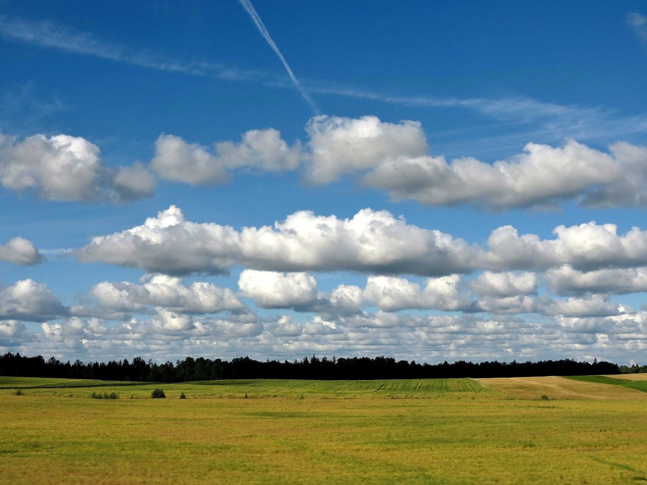 6056_main_cumulus-mediocris-radiatus_clouds.jpeg