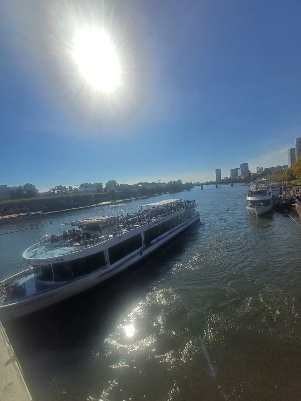 20261003_143626.thumb.jpg.15d5f8b1c955fb470706203d498a4d60.jpg